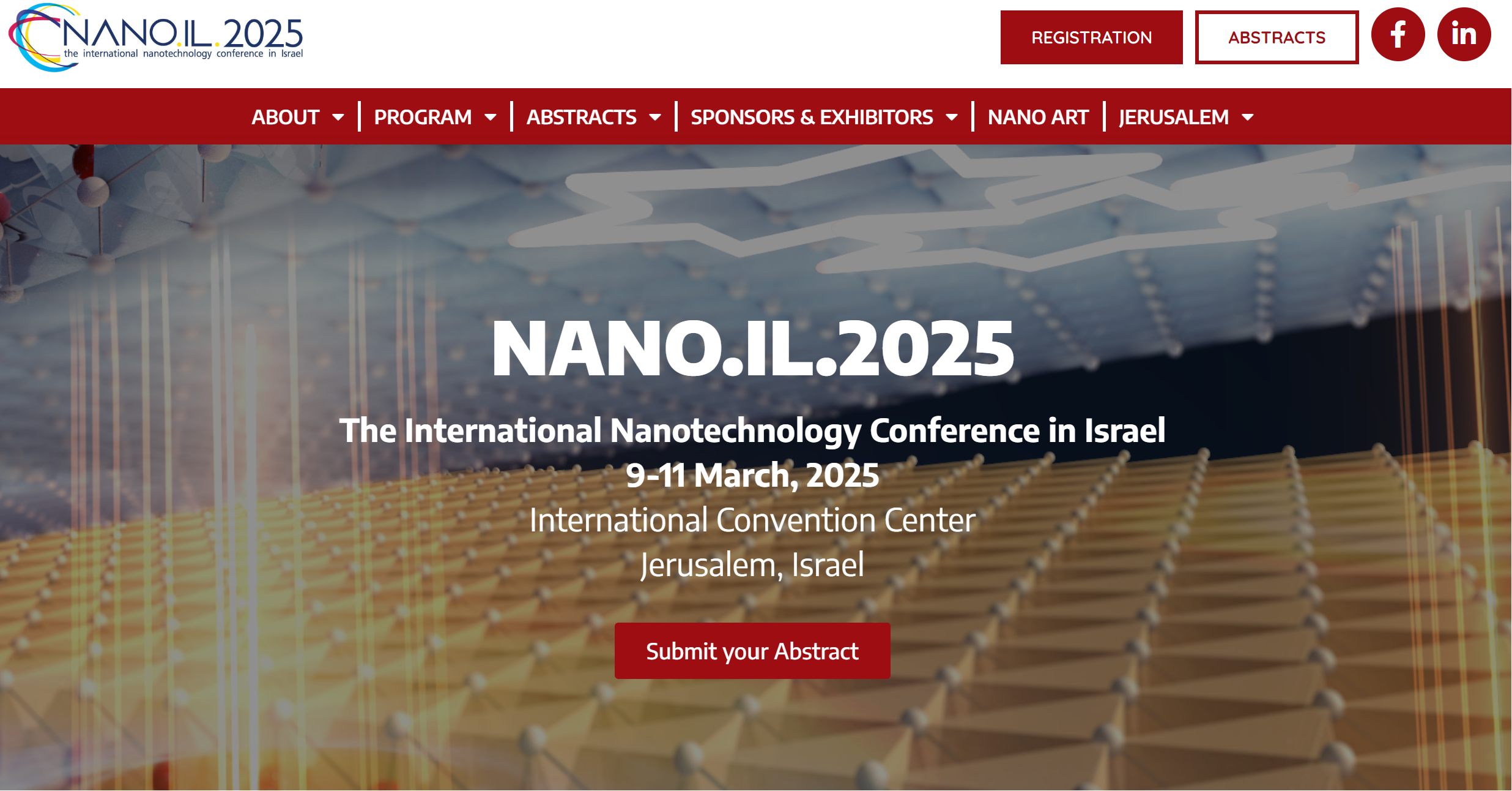 NanoIL2025